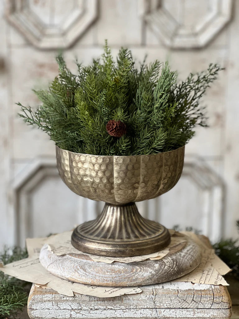 6" Lamine Compote | Mercuresque