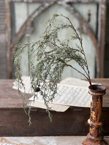 Snow Weeping Cedar 34" Branch