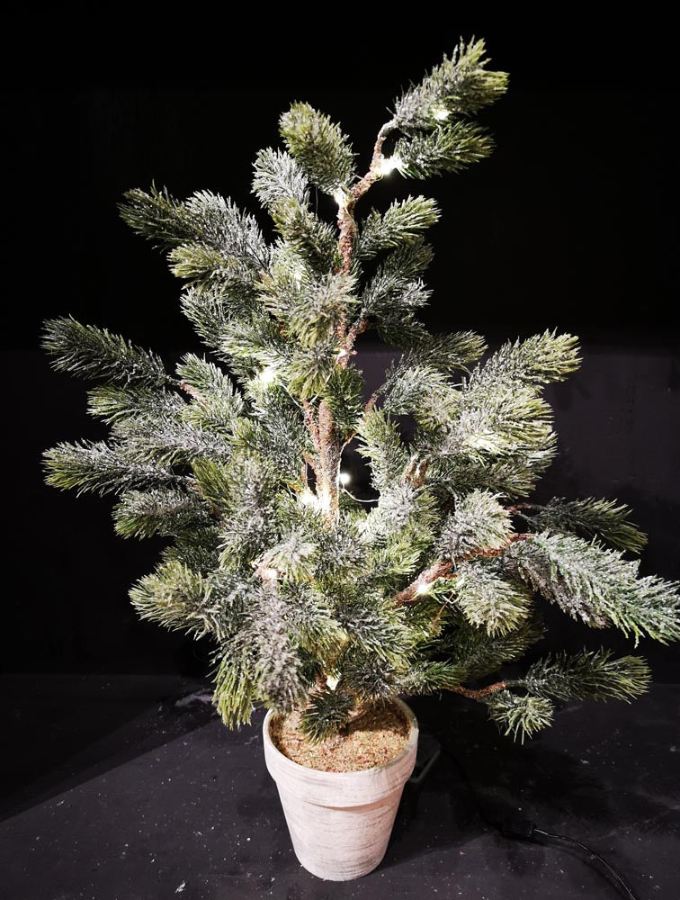 Iced Pine Tree in Clay Pot