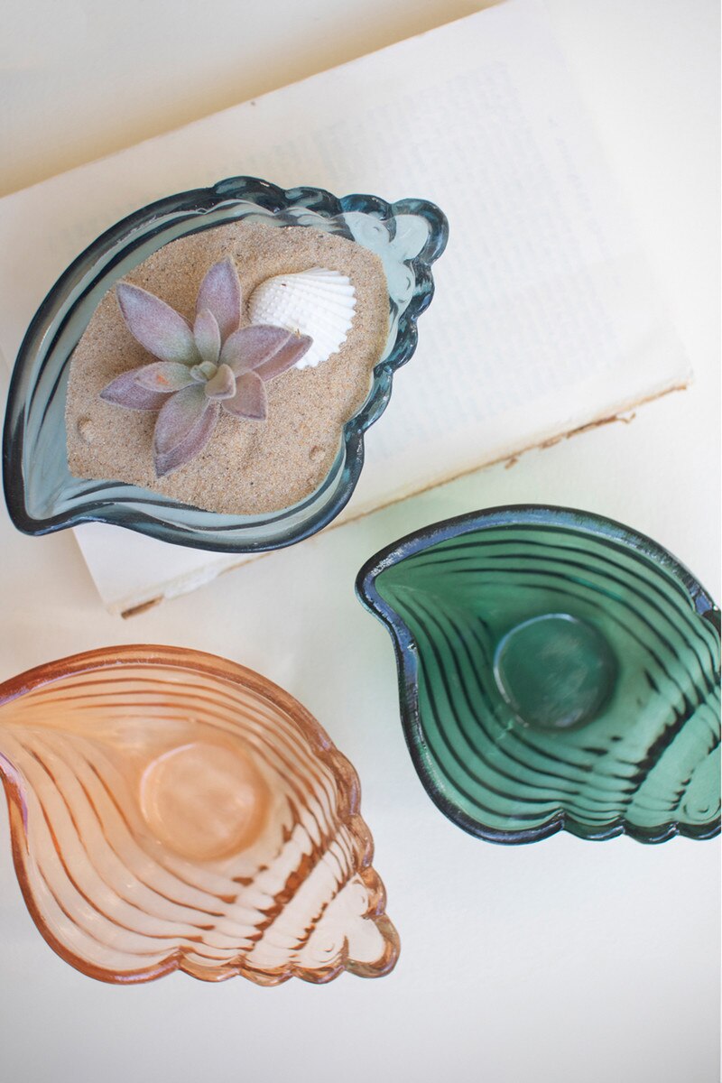 Glass Conch Shell Bowl - 3 Colors