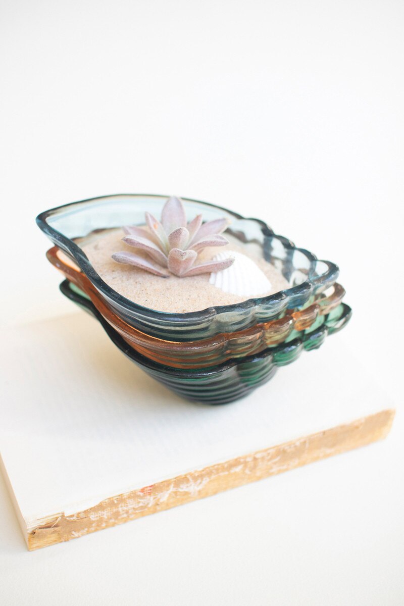 Glass Conch Shell Bowl - 3 Colors