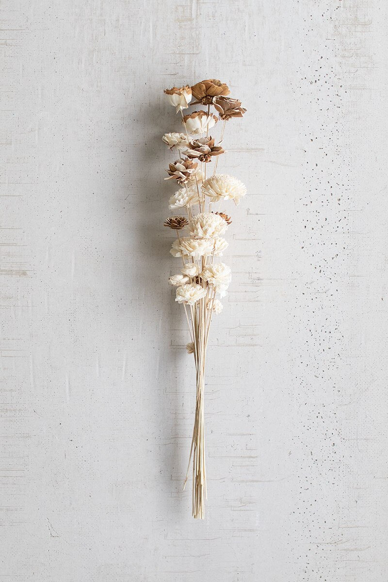 Bundle of 24 Bleached Bullet Flowers on Stems
