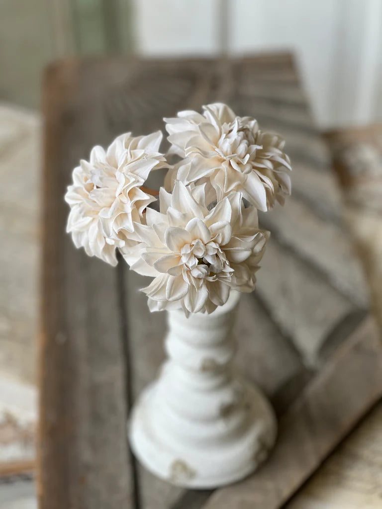 Damask Dahlia 10" Bundle - 2 Colors