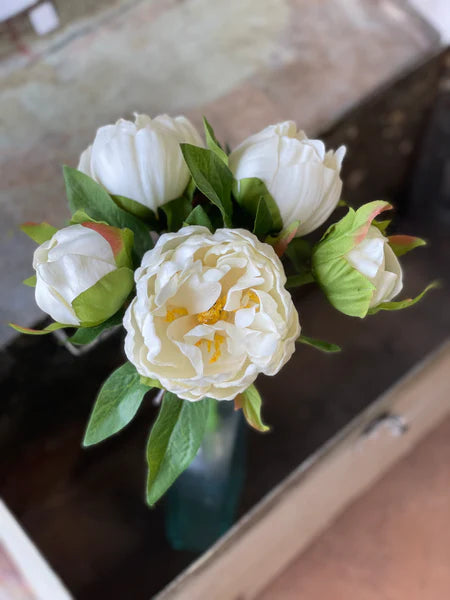 White Peony 11" Bundle