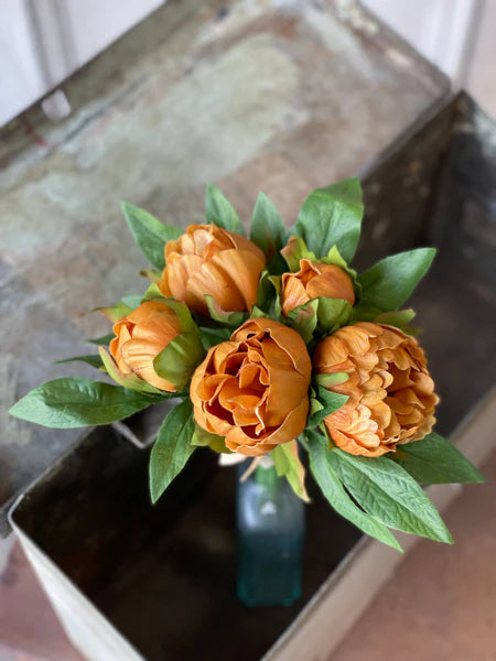 Saffron 10" Peonies