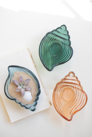 Glass Conch Shell Bowl - 3 Colors