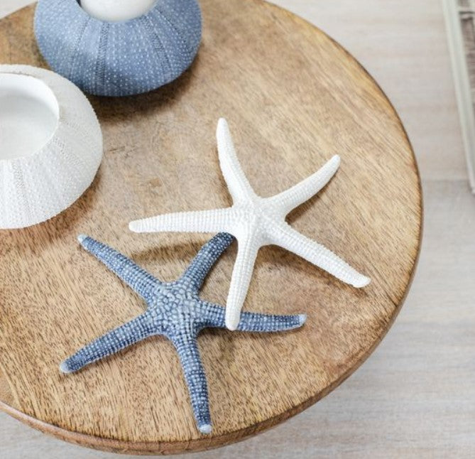 Starfish Decor