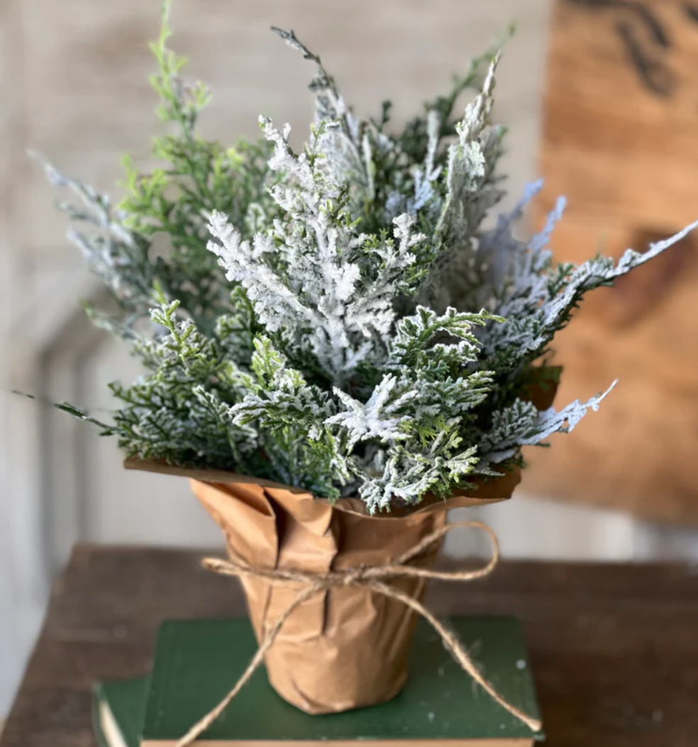 9" Snow Bliss Pot | Cypress