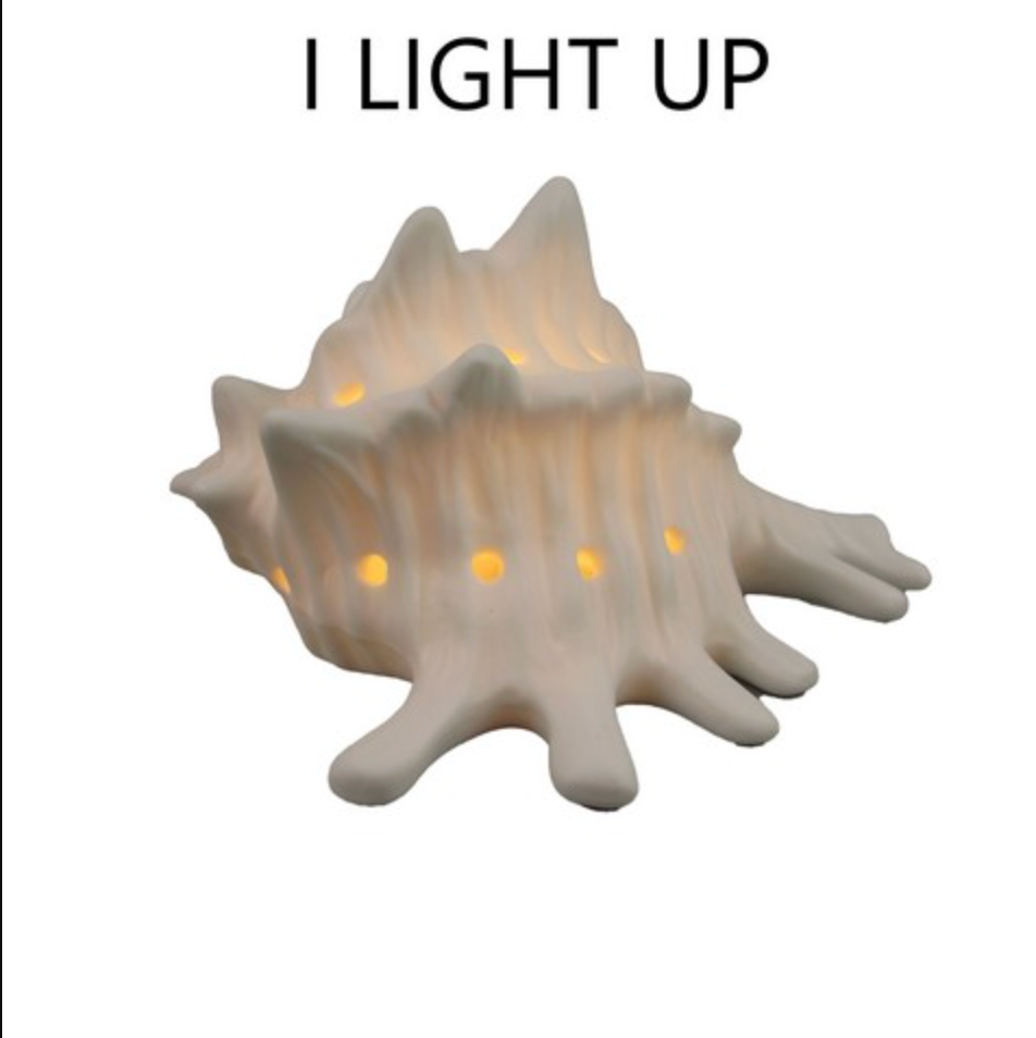 LED CER SHELL