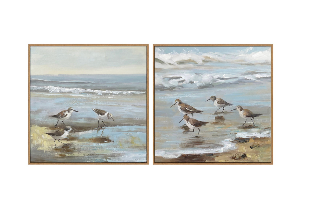 sandpiper reflections