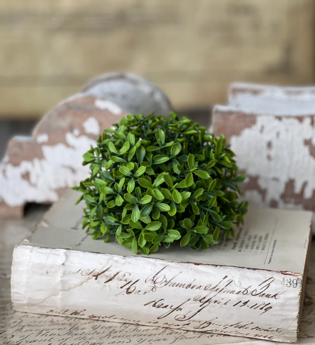 5.5" Lyric Boxwood Half Sphere