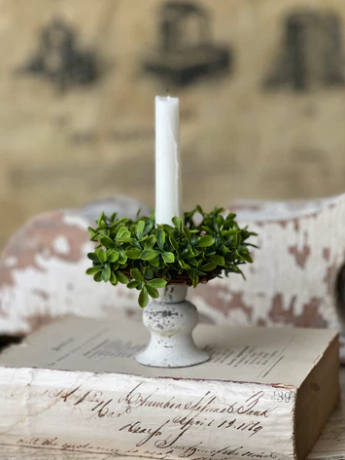 2" Lyric Boxwood Candle Ring