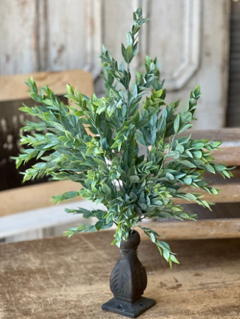 21" Rainwashed Bush