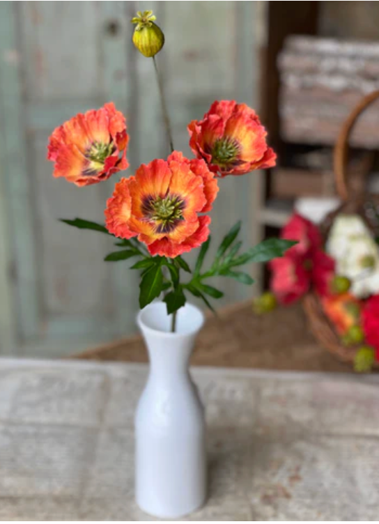 27" Rialto Poppies | Oriole