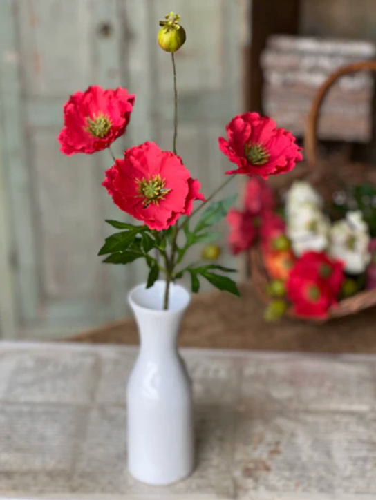 27" Rialto Poppies | Redden