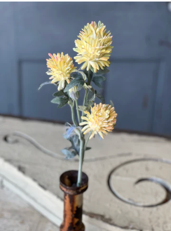 26" Paradise Protea | Yellow
