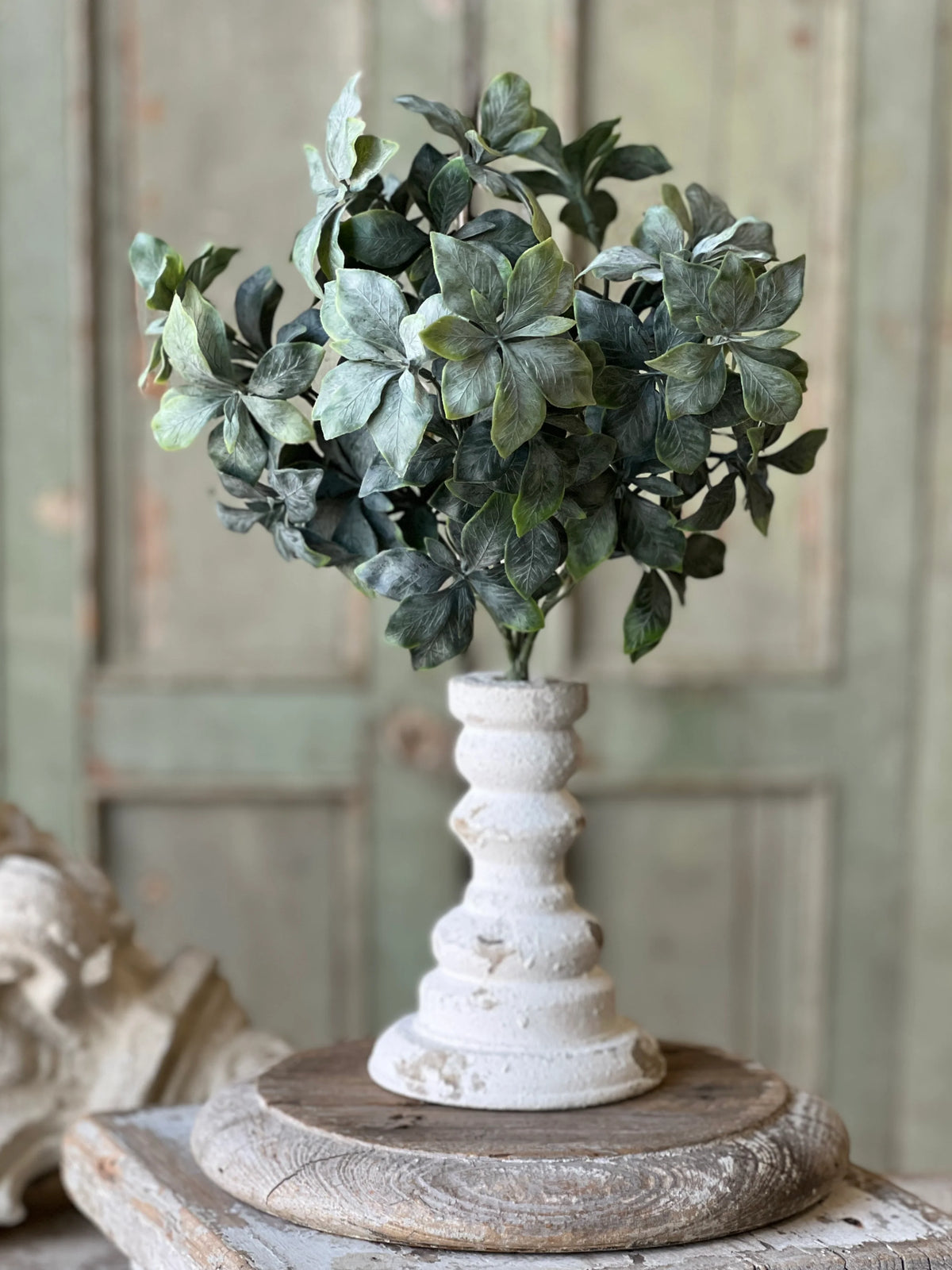 Suffolk Leaves 13" Bush