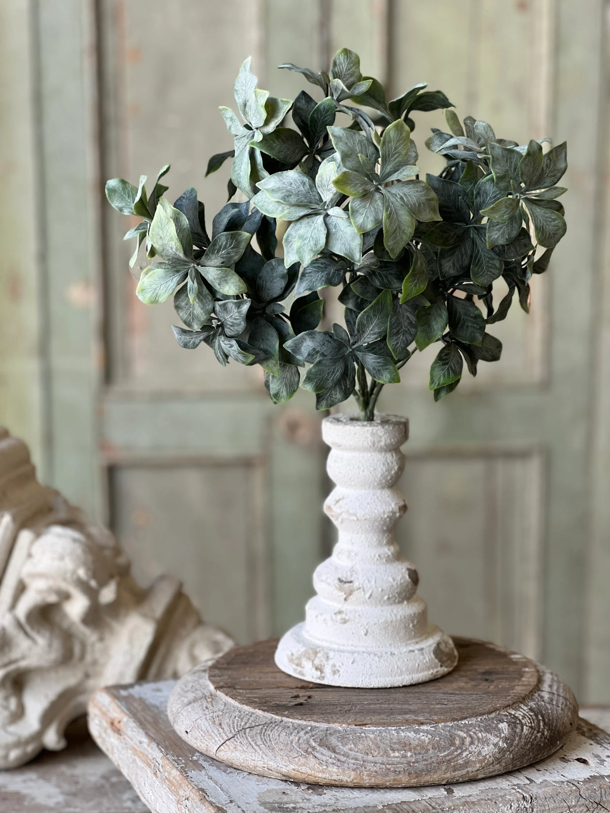 Suffolk Leaves 13" Bush