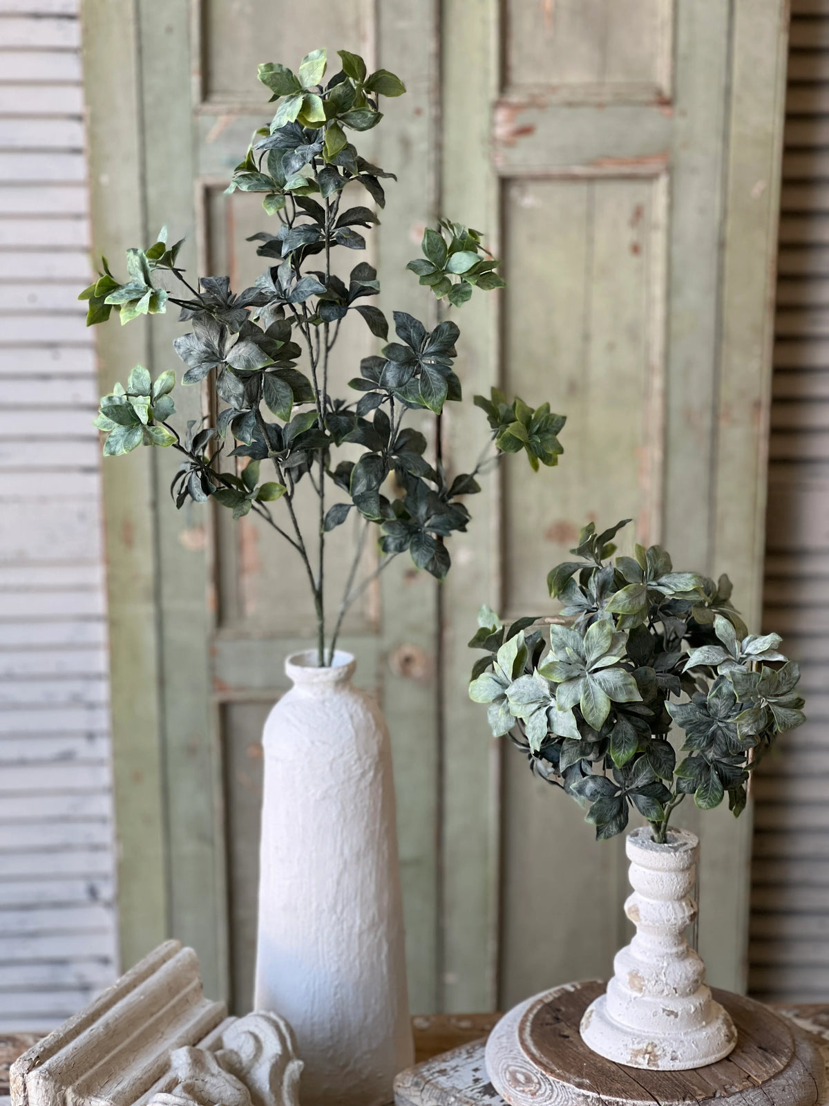 Suffolk Leaves 13" Bush