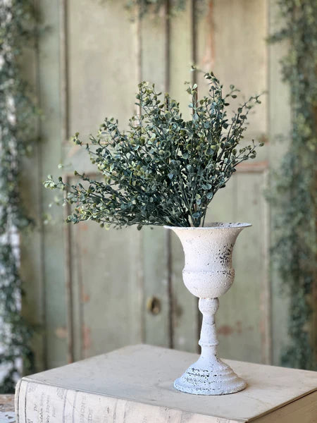 Baby's Twilight 14" Bush