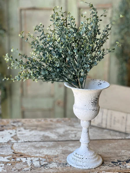 Baby's Twilight 14" Bush