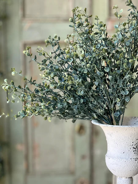 Baby's Twilight 14" Bush