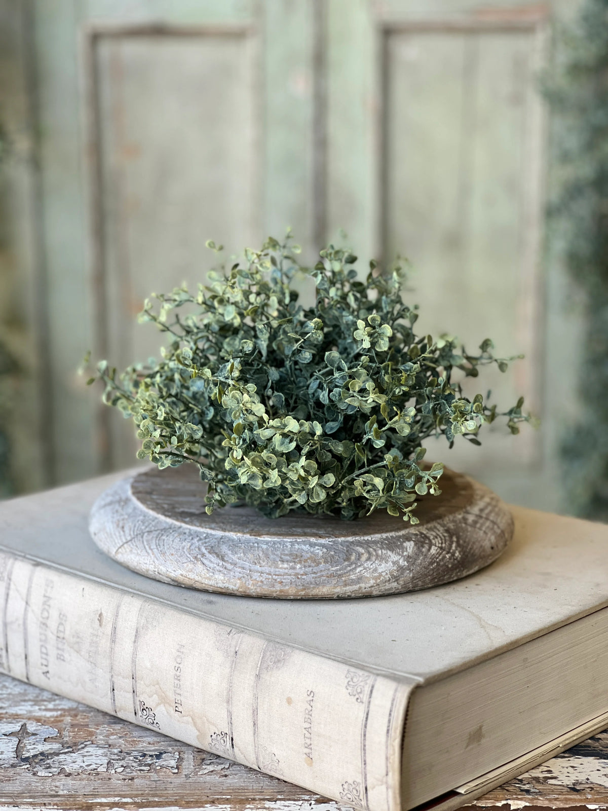 Baby's Twilight 6" Half Sphere