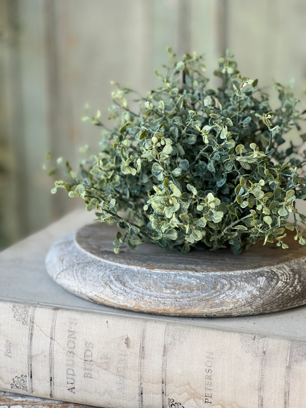 Baby's Twilight 6" Half Sphere