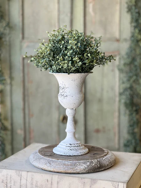 Baby's Twilight 6" Half Sphere