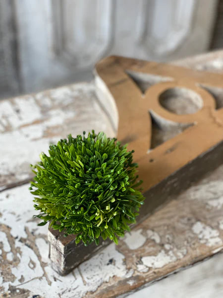 Seed Head 5.5" Half Sphere