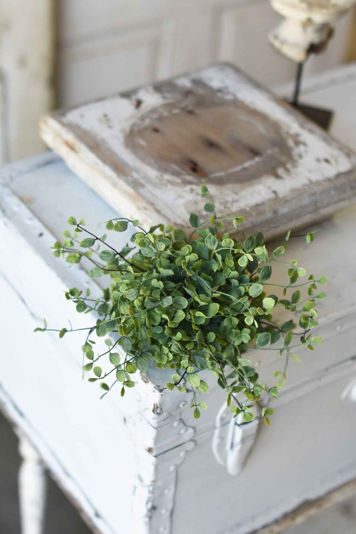 Seraph Vine 7" Half Sphere