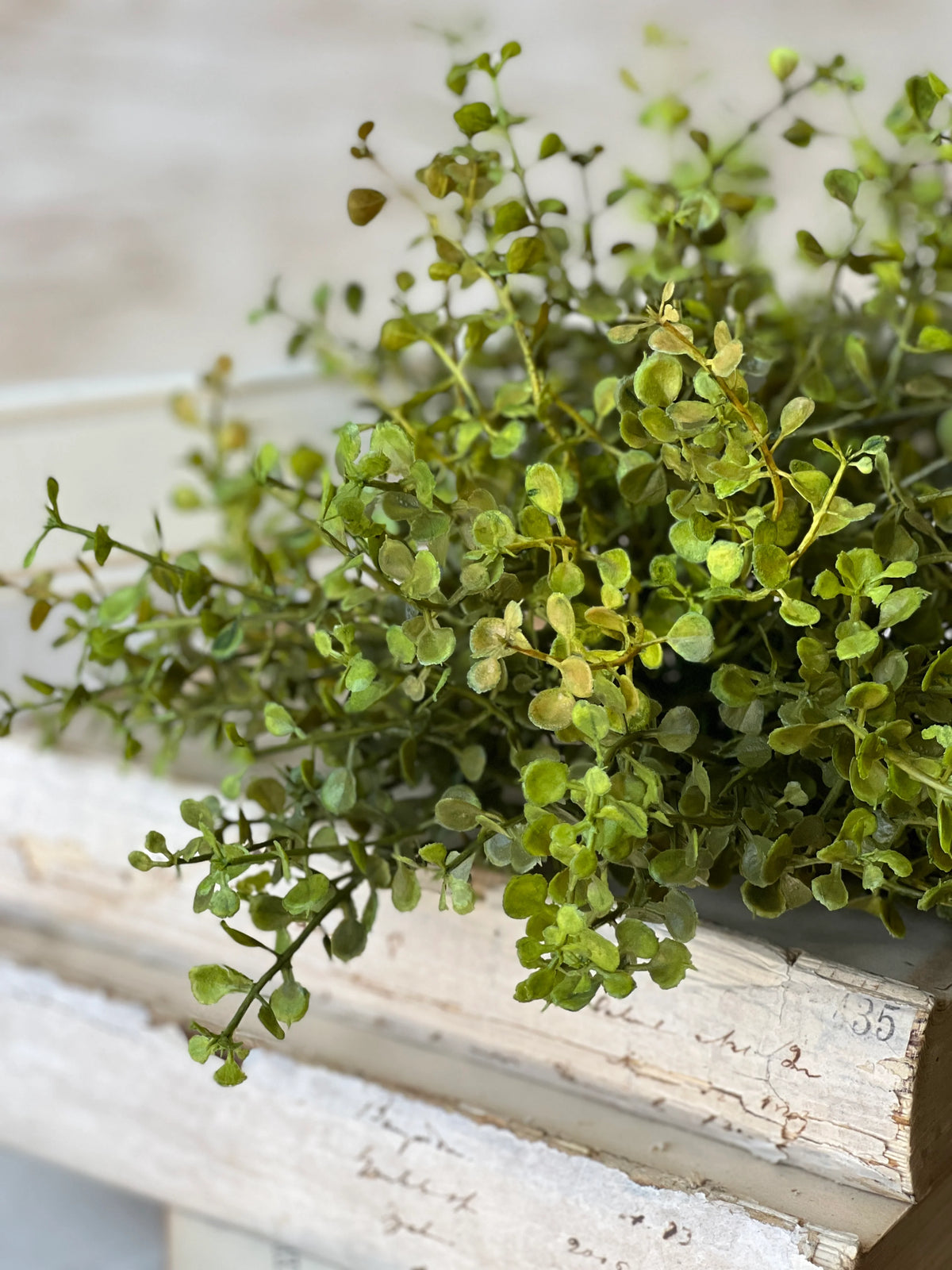 Baby's Grass Half Sphere - 2 Sizes