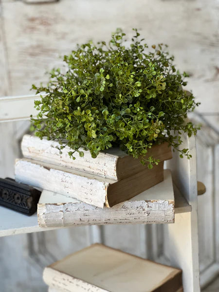 Baby's Grass Half Sphere - 2 Sizes