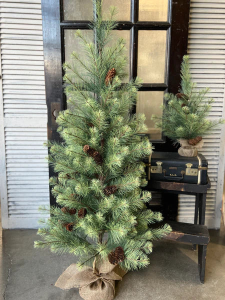 Black Valley 5' Pine Tree