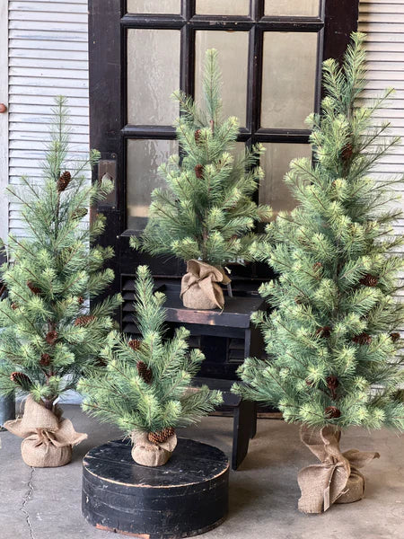 Black Valley 5' Pine Tree