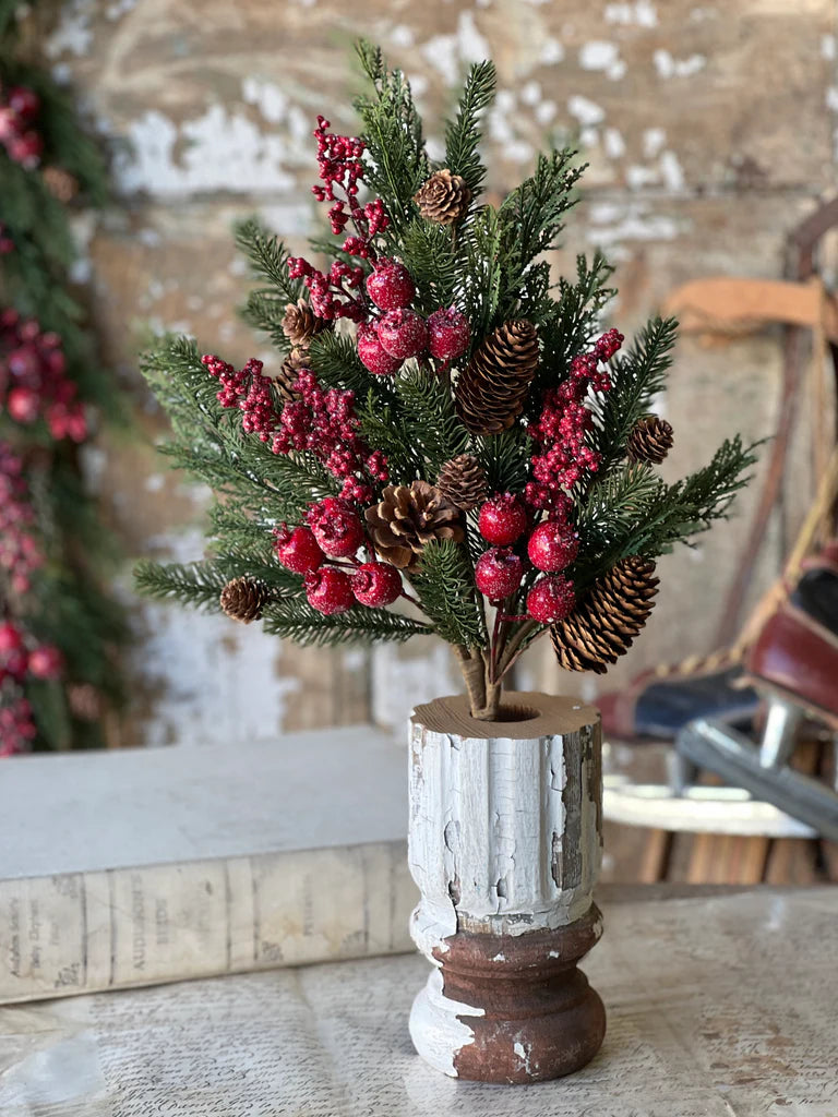 26" Bluster Berry Greens Bush