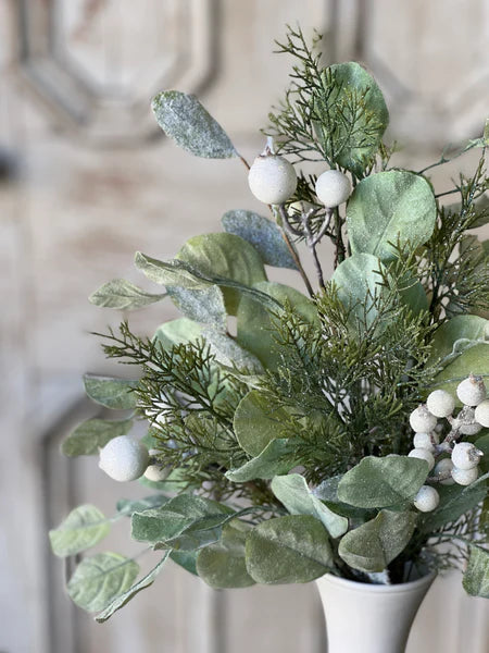 Splash of Splendor 21" Bush