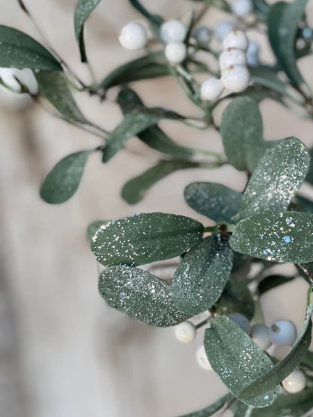 Snowberry 17" Mistletoe Bush