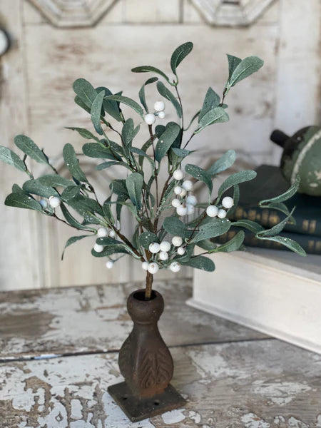 Snowberry 17" Mistletoe Bush