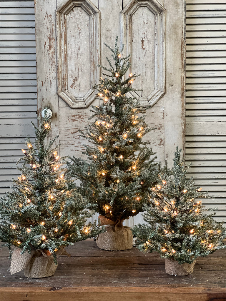 Pine Snow Tree | 18" | Burlap | Clear Lights