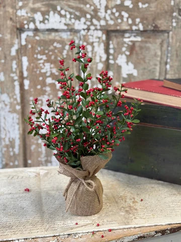 17" Sutherland Berry Tree
