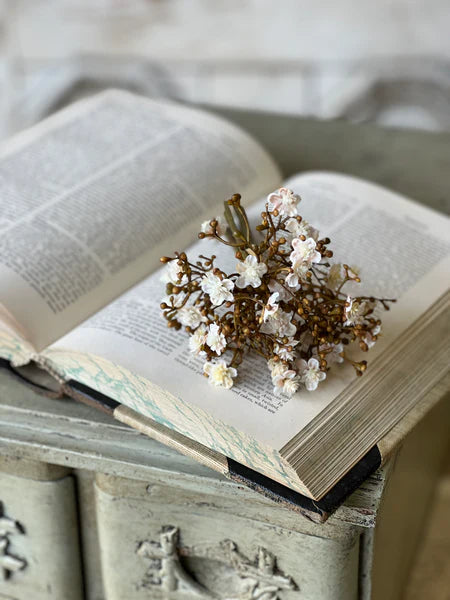 Fawn 8" Emmeline Bundle