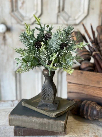 12" Snowy Cedarcone Bush