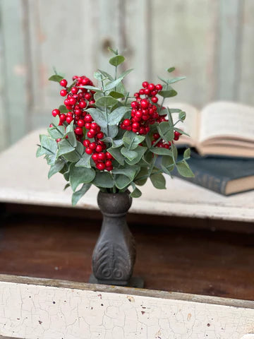 11" Yuletide Eucalyptus Bush