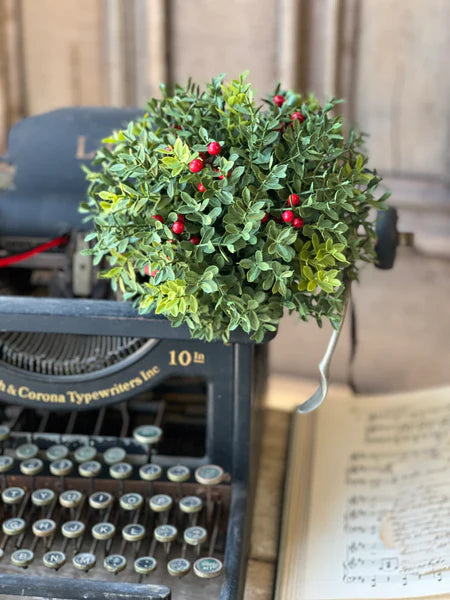 New England Boxwood with Berries 8" Half Sphere