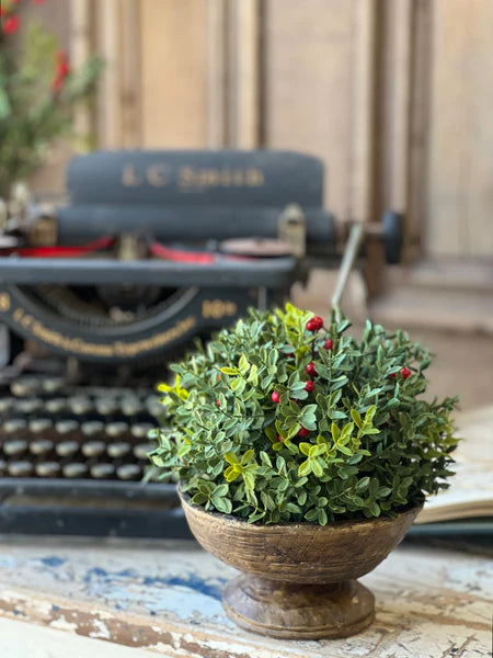 New England Boxwood with Berries 8" Half Sphere