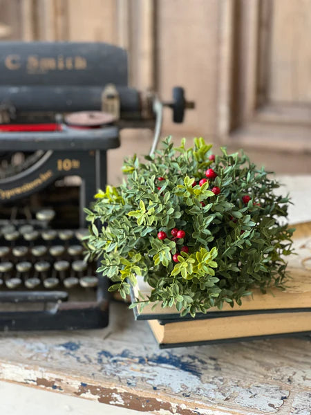 New England Boxwood with Berries 8" Half Sphere