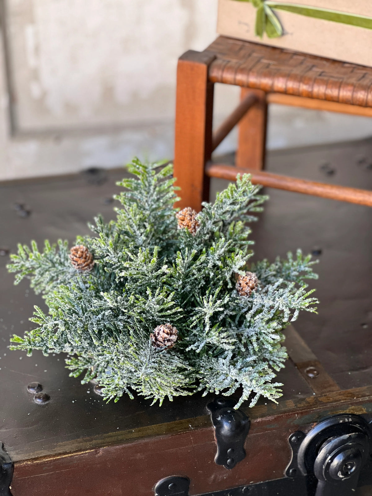 Snowshoe Hemlock Small Half Sphere