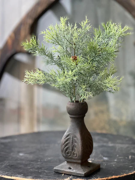 Stellar Cypress 13" Bush