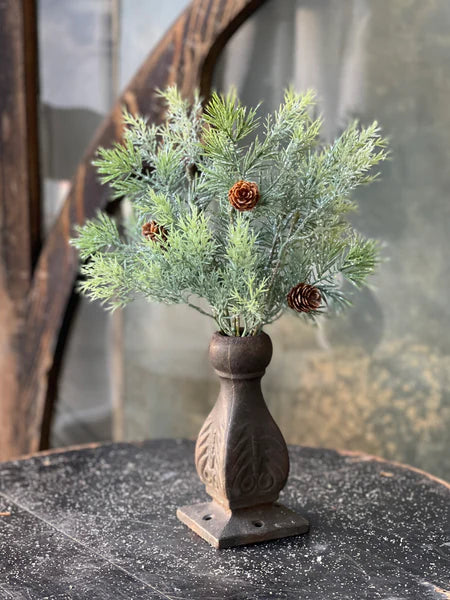 Stellar Cypress 13" Bush